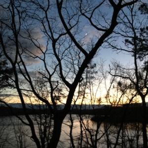 Meet your Posher, Farran